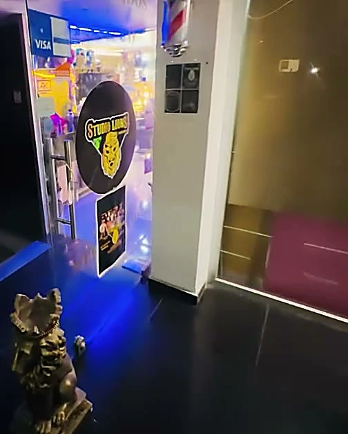 Pasillo de entrada con luz azul: la vitrina con el logo redondo de Studio Lions y una estatuilla dorada de león en primer plano